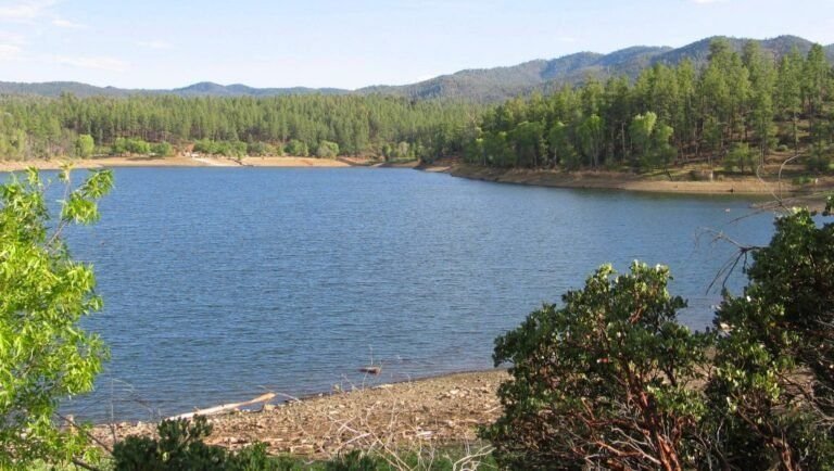 Lynx Lake