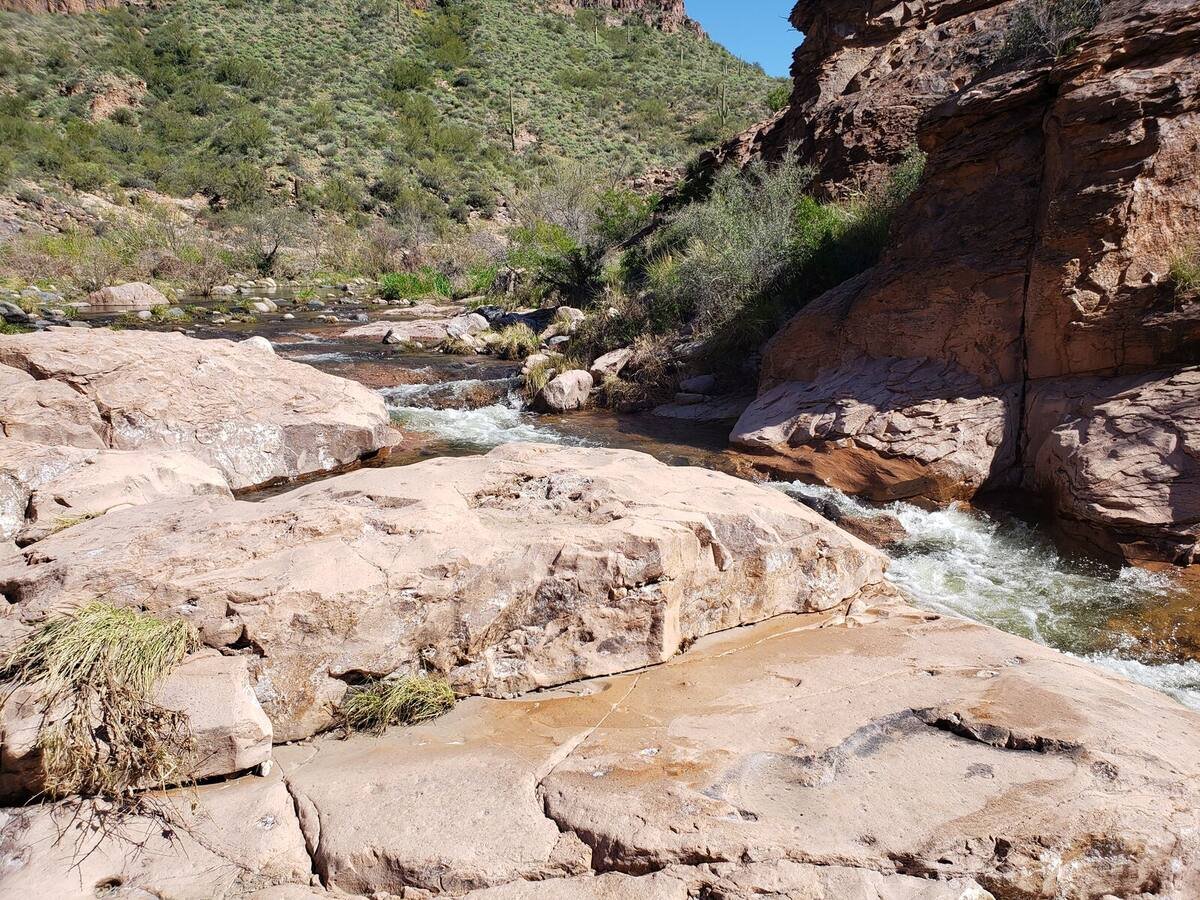 The Hidden Waterfalls of Canyon Lake