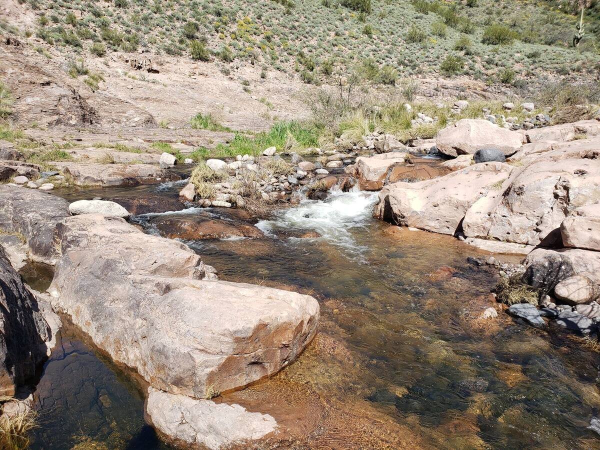Rapids spilling into a clear pool in the back of Canyon Lake
